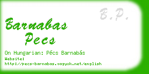 barnabas pecs business card