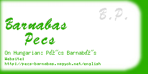 barnabas pecs business card